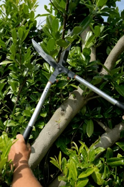 Bahco P51H-SL Extra Long Hedge Shears, Heavy Duty, Lightweight With Aluminium Handle -Outdoor Garden Store Bahco P51H SL Extra Long Hedge Shears Heavy Duty Lightweight with Aluminium Handle 13 79582.1707204593