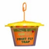 Eco Male Fruit Fly Trap 1 Eco Male Fruit Fly Trap -Outdoor Garden Store Eco Male Fruit Fly Trap 02503.1639695902