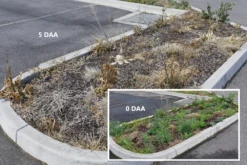 Weed Terminator & Soil Conditioner -Outdoor Garden Store Open Spaces Before After 1 23656.1658712994