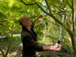 Bahco P280-SL-80 Professional 55mm Bypass Loppers With Long Lightweight Aluminium Handle -Outdoor Garden Store P280 SL 80 Professional 55mm Bypass Loppers with Long Lightweight Aluminium Handle 6 89609.1707204882