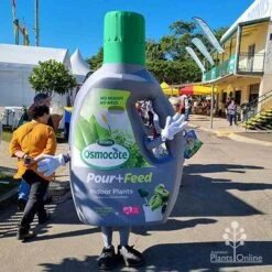 Osmocote 1L Pour + Feed Cacti And Succulent Fertiliser -Outdoor Garden Store apo pour feed mascot qge