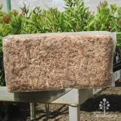 Sphagnum Moss 12L -Outdoor Garden Store apo sphagnum sun