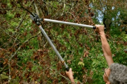 Bahco P173-SL-85 Professional 45mm Anvil Loppers With Lever Action And Aluminium Handle -Outdoor Garden Store bahco p173 sl loppers 4 81463.1707202738