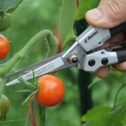 Compact Snips 7 Compact Snips -Outdoor Garden Store compact snips