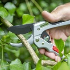 Ratchet Anvil Secateurs -Outdoor Garden Store darlac ratchet anvil pruner 1