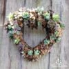 Sphagnum Moss 12L -Outdoor Garden Store heart frame planted