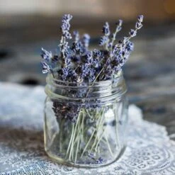 Lavender English Munstead - Seed -Outdoor Garden Store lavender dried