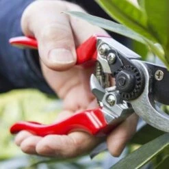 Left Hand Bypass Secateurs -Outdoor Garden Store left handed secateurs closer