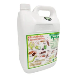 PyBo Natural Pyrethrum Insecticide -Outdoor Garden Store py bo 5l 29050.1673488126