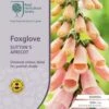 Foxglove Sutton's Apricot - Seed -Outdoor Garden Store rhs foxglove apricot
