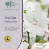 Musk Mallow - Seed -Outdoor Garden Store rhs mallow
