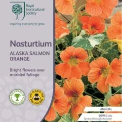 Featured Products -Outdoor Garden Store rhs nasturtium variegated