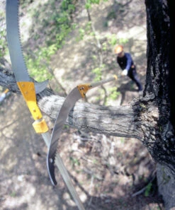 Silky Hayate Pole Saw Complete - Extendable -Outdoor Garden Store silky hayate 3 56178.1684377373